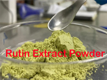 How Can Rutin Extract Powder Help Improve Blood Vessel Health and Elasticity?